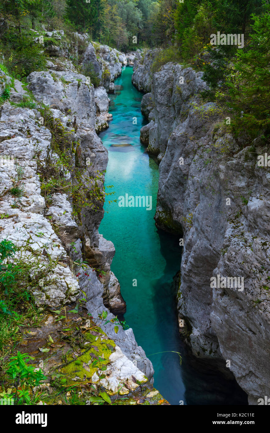Soca River Running Through Great Soca Gorge Lepena Valley Julian Alps soca-river-running-through-great-soca-gorge-lepena-valley-julian-alps
