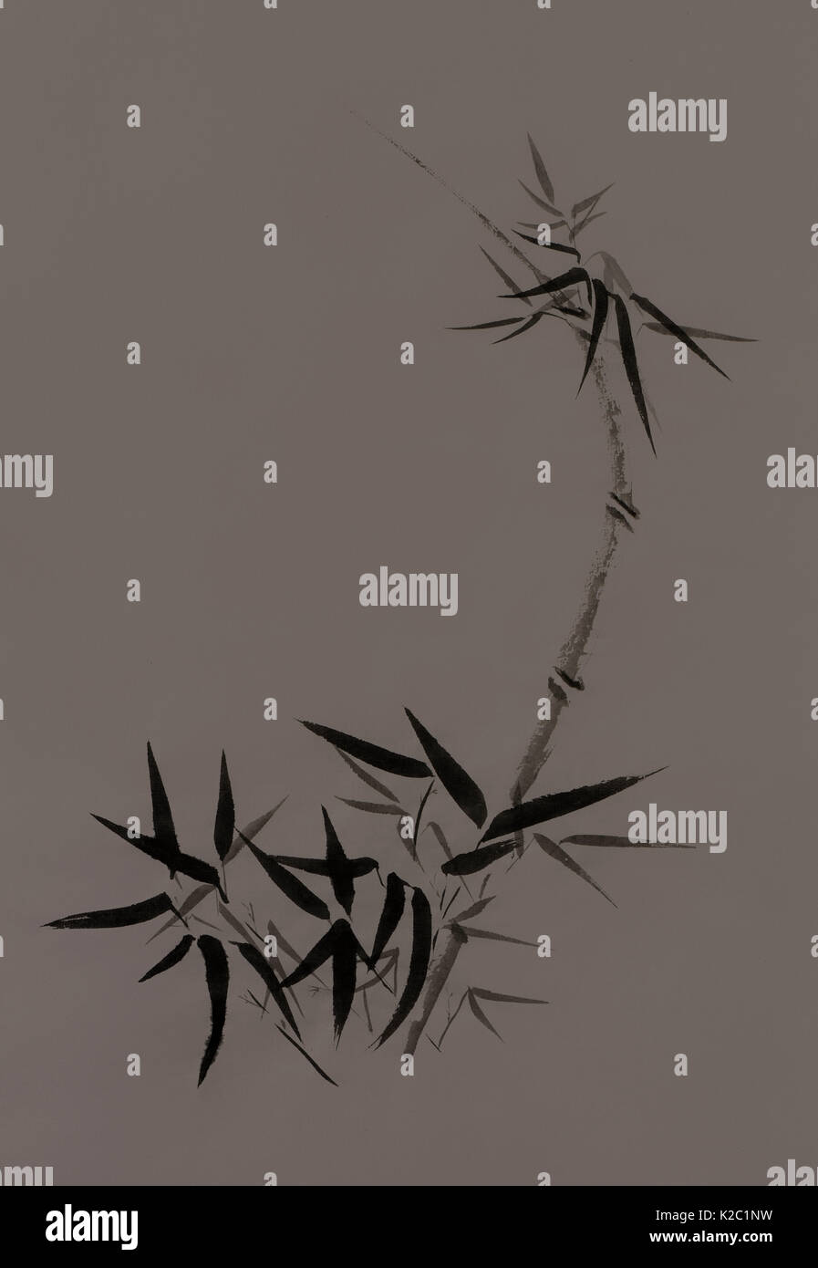 License available at bamboo stalk with young leaves