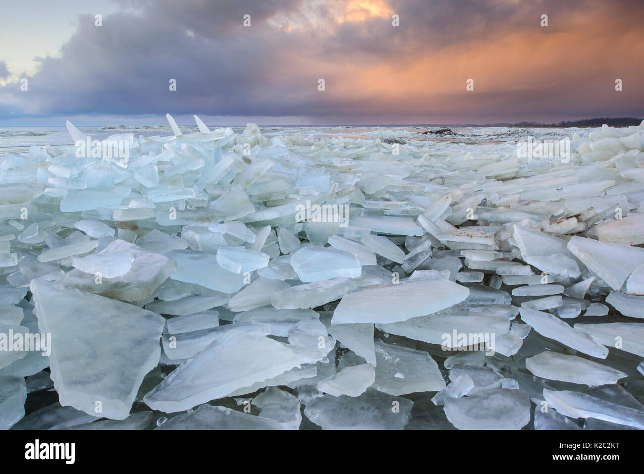 Broken ice on the shore of Lake Vortsjarv, gathered to the shore by extreme winds, Estonia. December 2014. Stock Photo