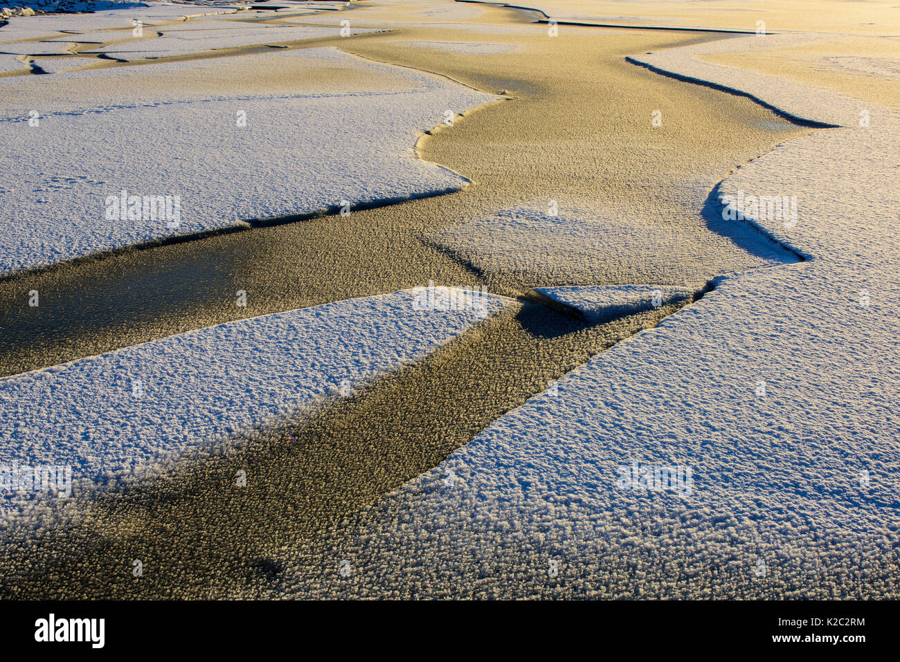 Fresh snow on ice on the shore of Lake Vortsjarv, Estonia, December. Stock Photo