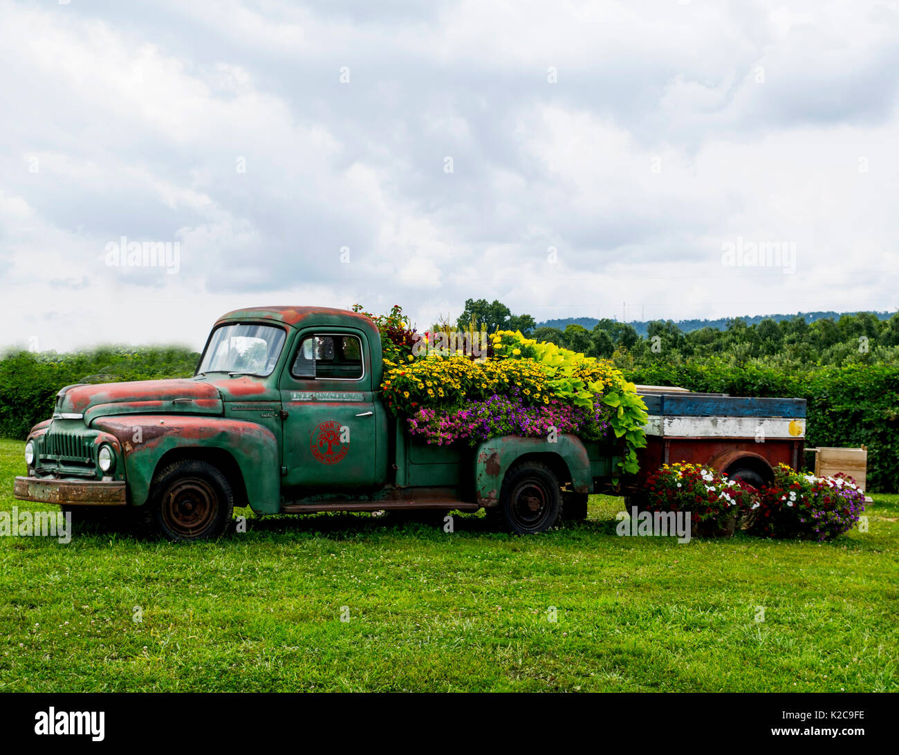 Rustic old truck planted with flowers Stock Photo