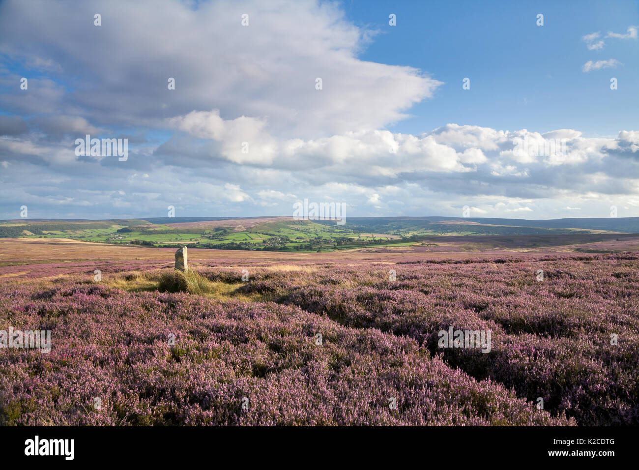 Siss Cross on Low Danby Moor, in the North York Moors Stock Photo