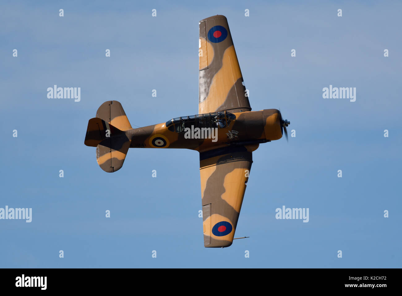 North American T-6 Texan Harvard wartime trainer flying at the Little Gransden Children in Need airshow Stock Photo