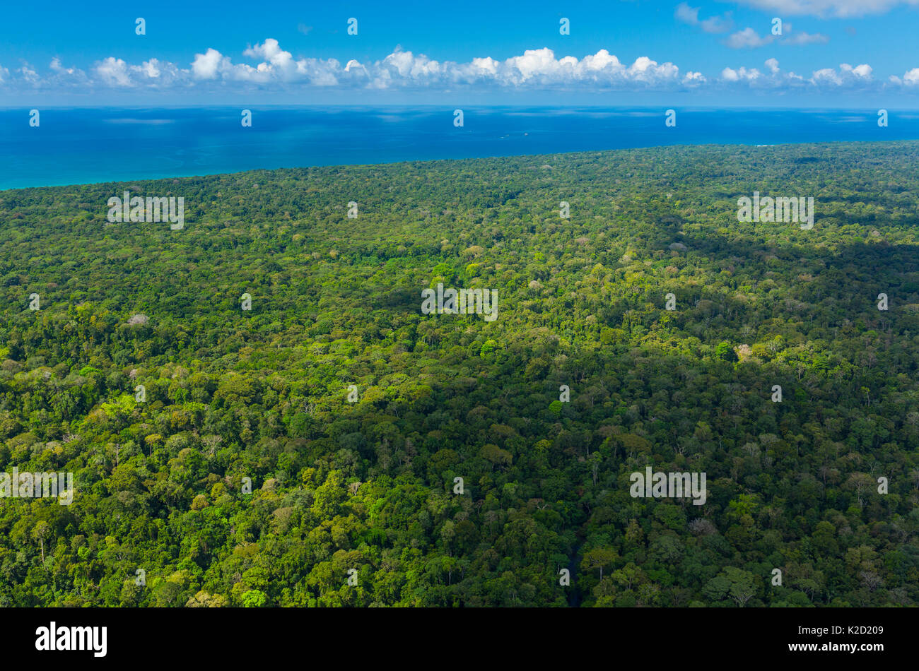 Aerial view of Corcovado National Park, Osa Peninsula, Puntarenas Province, Costa Rica. December 2014. Stock Photo