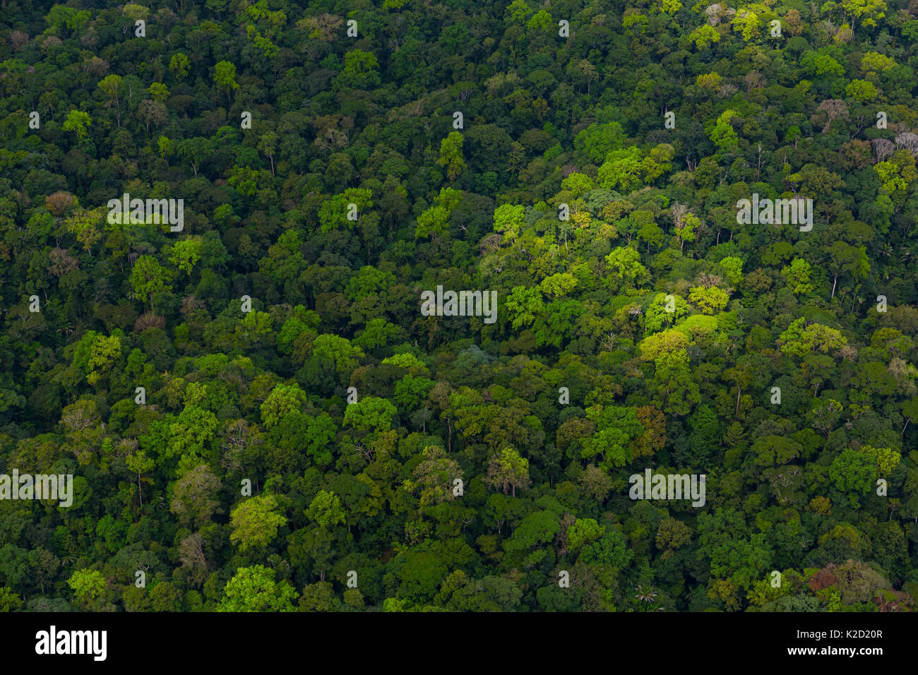 Aerial view of Corcovado National Park, Osa Peninsula, Puntarenas Province, Costa Rica. December 2014. Stock Photo