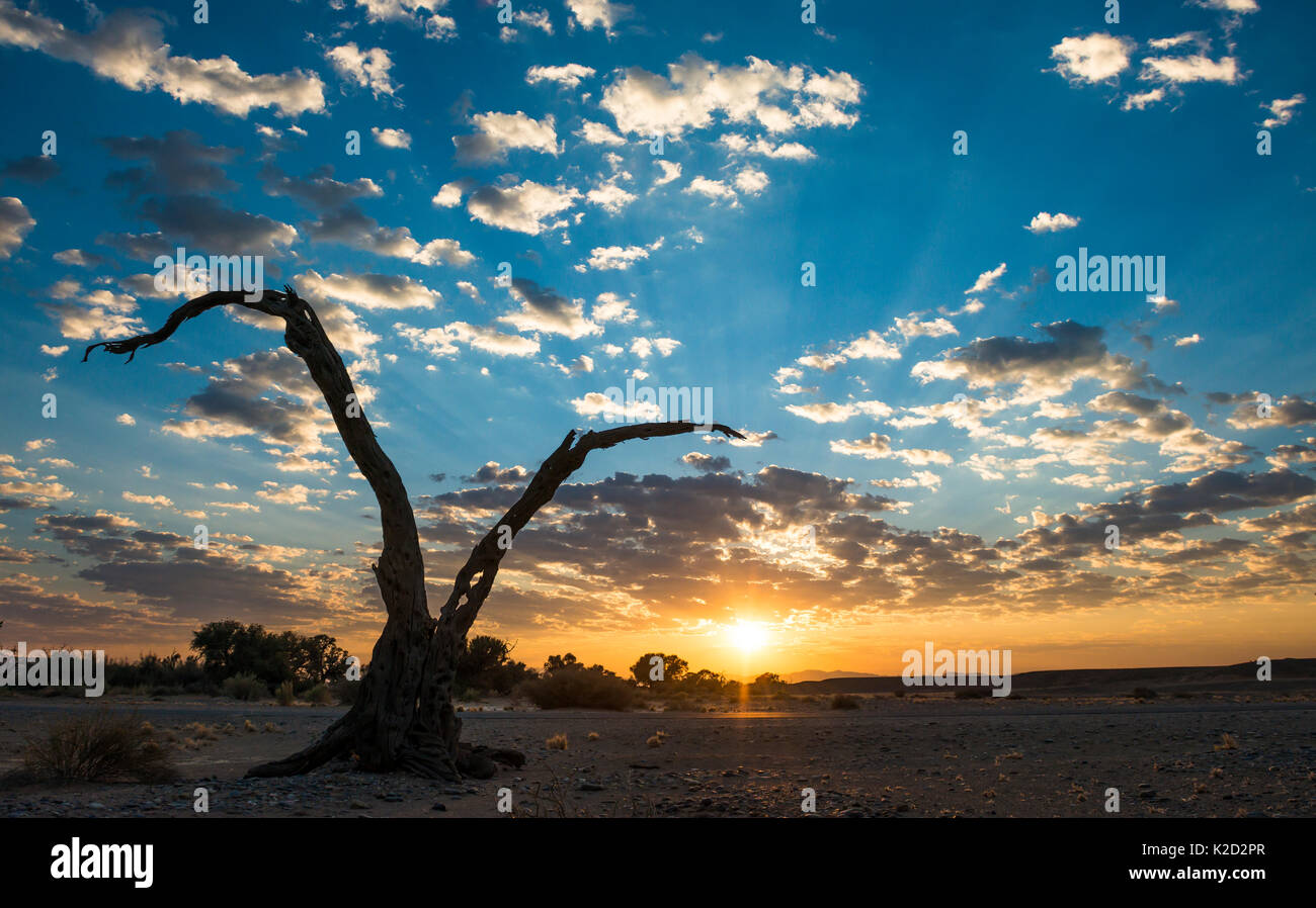 Sunrise landscape in Sossusvlei, Namibia, July 2014. Stock Photo