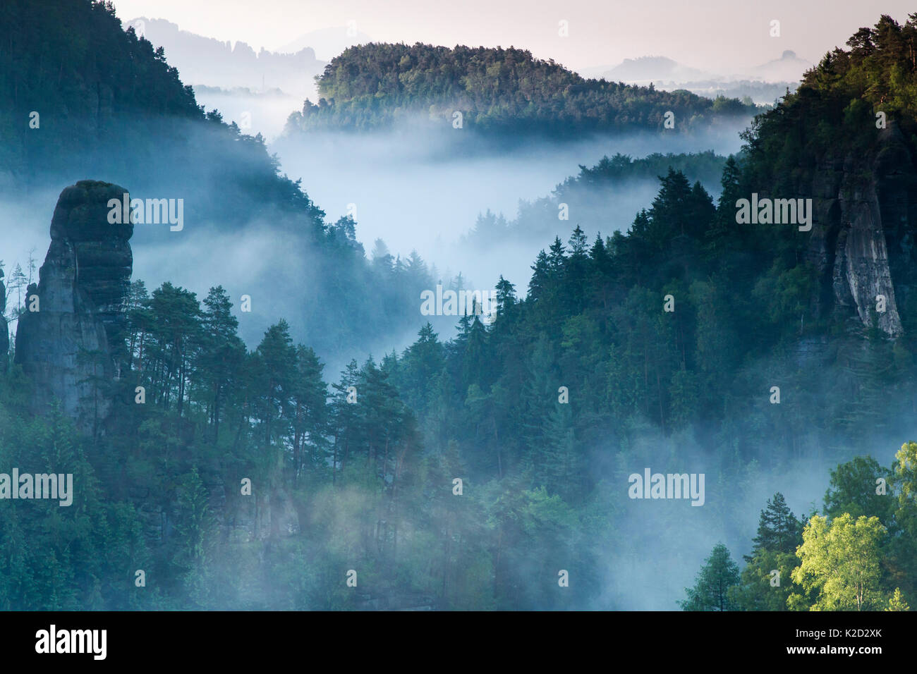 Morning mist over forest and sandstone rock formations, Sachsische Schweiz / Saxon Switzerland National Park, Germany, June 2010 Stock Photo