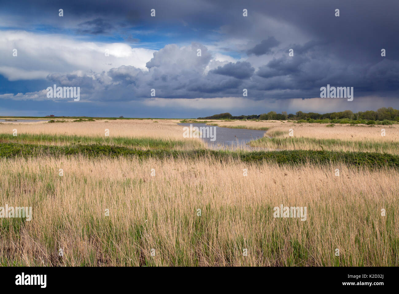 Saltmarsh landscape at RSPB Titchwell Nature Reserve, Norfolk, England, UK, May. Stock Photo