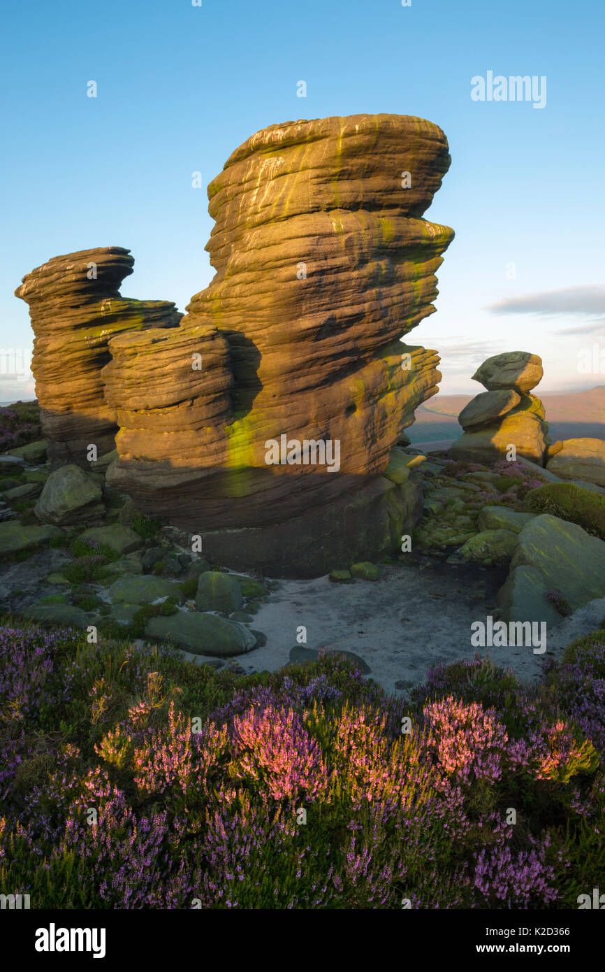 The Crow Stones at sunrise, Peak District National Park, Derbyshire, UK. August 2015. Stock Photo