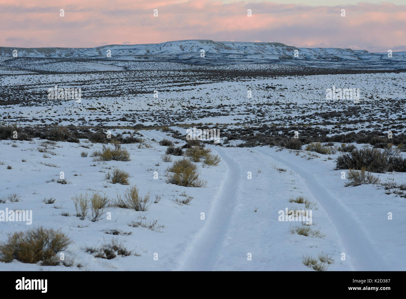 Key winter habitat for Greater sage-grouse in the Alkali Basin. This area is under threat of energy development by the Naturally Pressured Lance gas field project,. Sublette County, Wyoming, USA. January. Stock Photo
