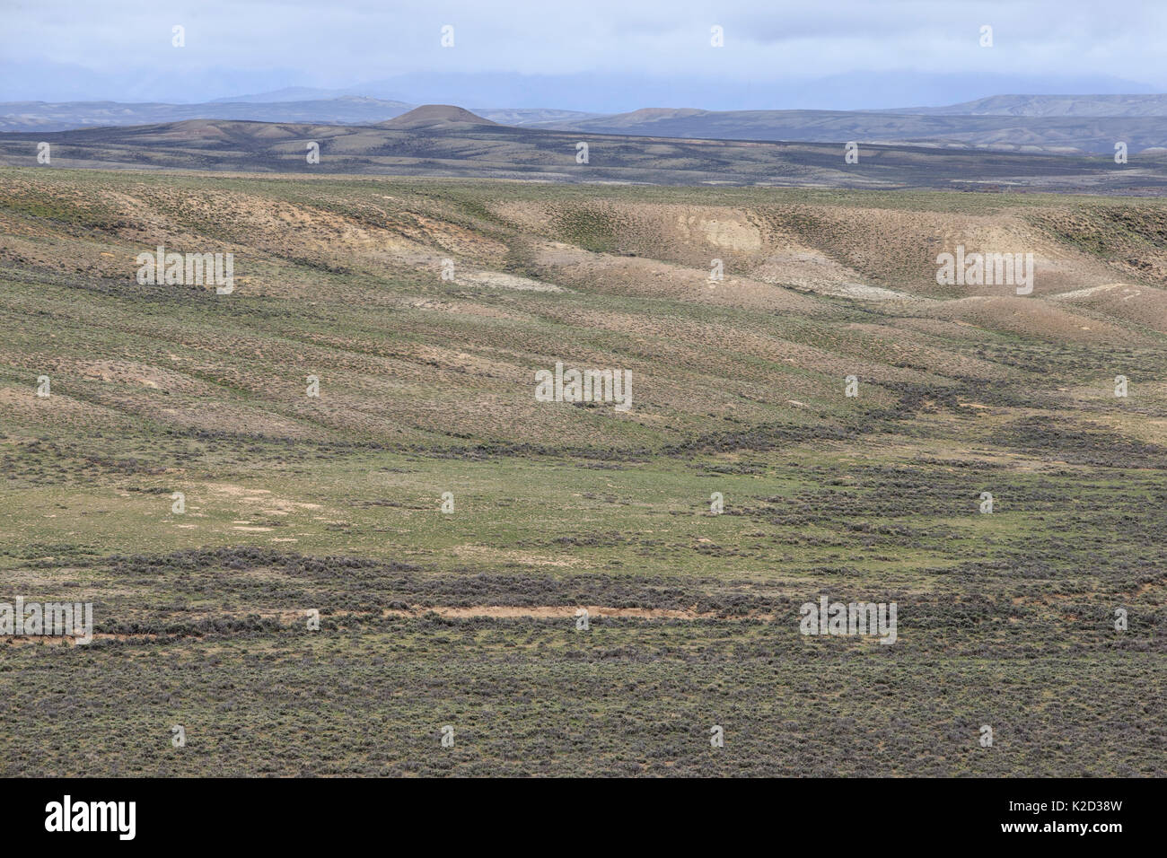 Sagebrush-steppe landscape north of Big Piney, Sublette County, Wyoming, USA, June. Stock Photo
