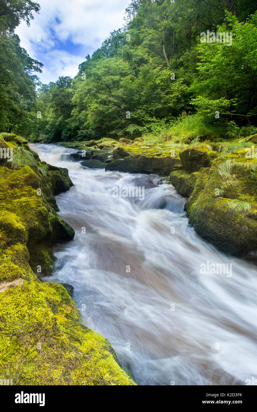 The Strid, River Wharfe, slow shutter speed showing movement of the water, Bolton Abbey Estate, Wharfedale, North Yorkshire, August 2015 Stock Photo