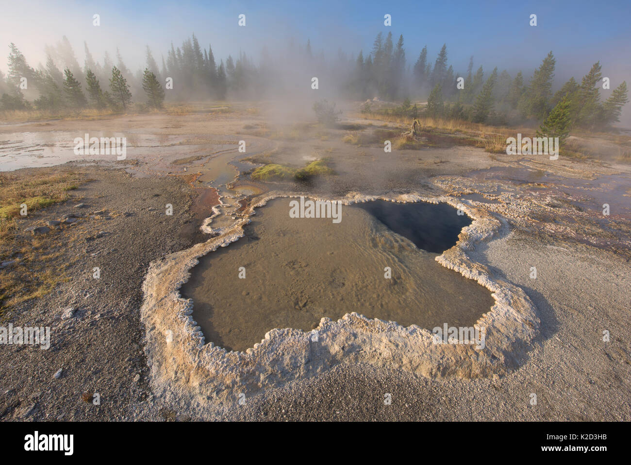 Lily flower shaped Fleur de Lis Spring, in the Orion Group of Geysers, Shoshone Geyser Basin, Yellowstone National Park, Wyoming, USA, August 2015. Stock Photo