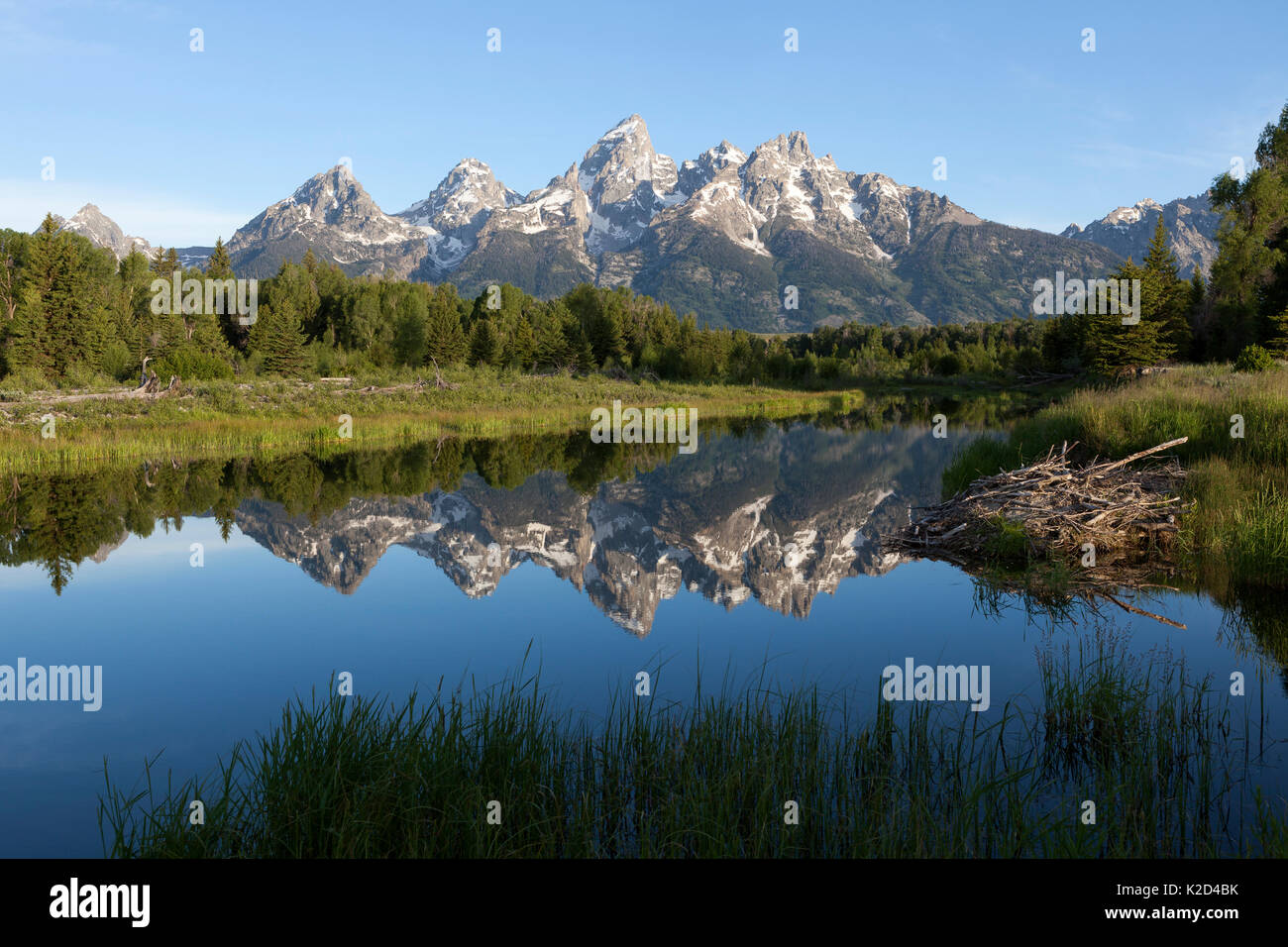 The Grand Teton and the Teton Range reflected in the calm waters of the Snake River, Schwabacher Landing, Grand Teton National Park, Wyoming, USA, June. Stock Photo