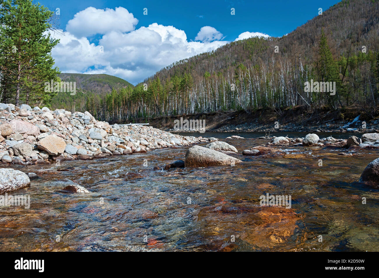 Temnik River, Lake Baikal, Baikalsky Reserve, Siberia, Russia. May 2015 Stock Photo