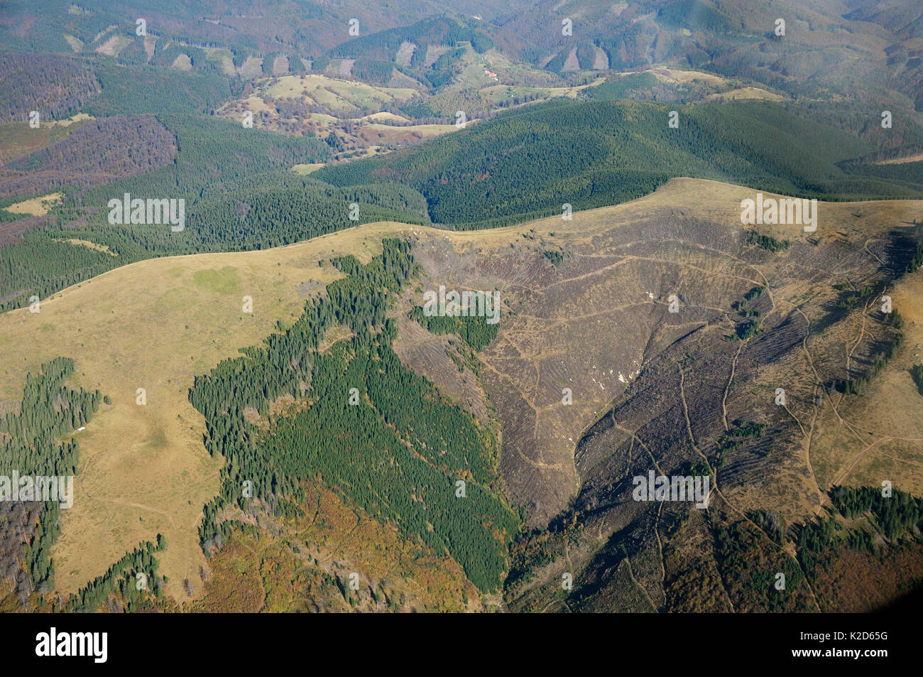 Aerial view of deforestation in the Sureanu Mountains.  Carpathians, Romania. October, 2014. Stock Photo
