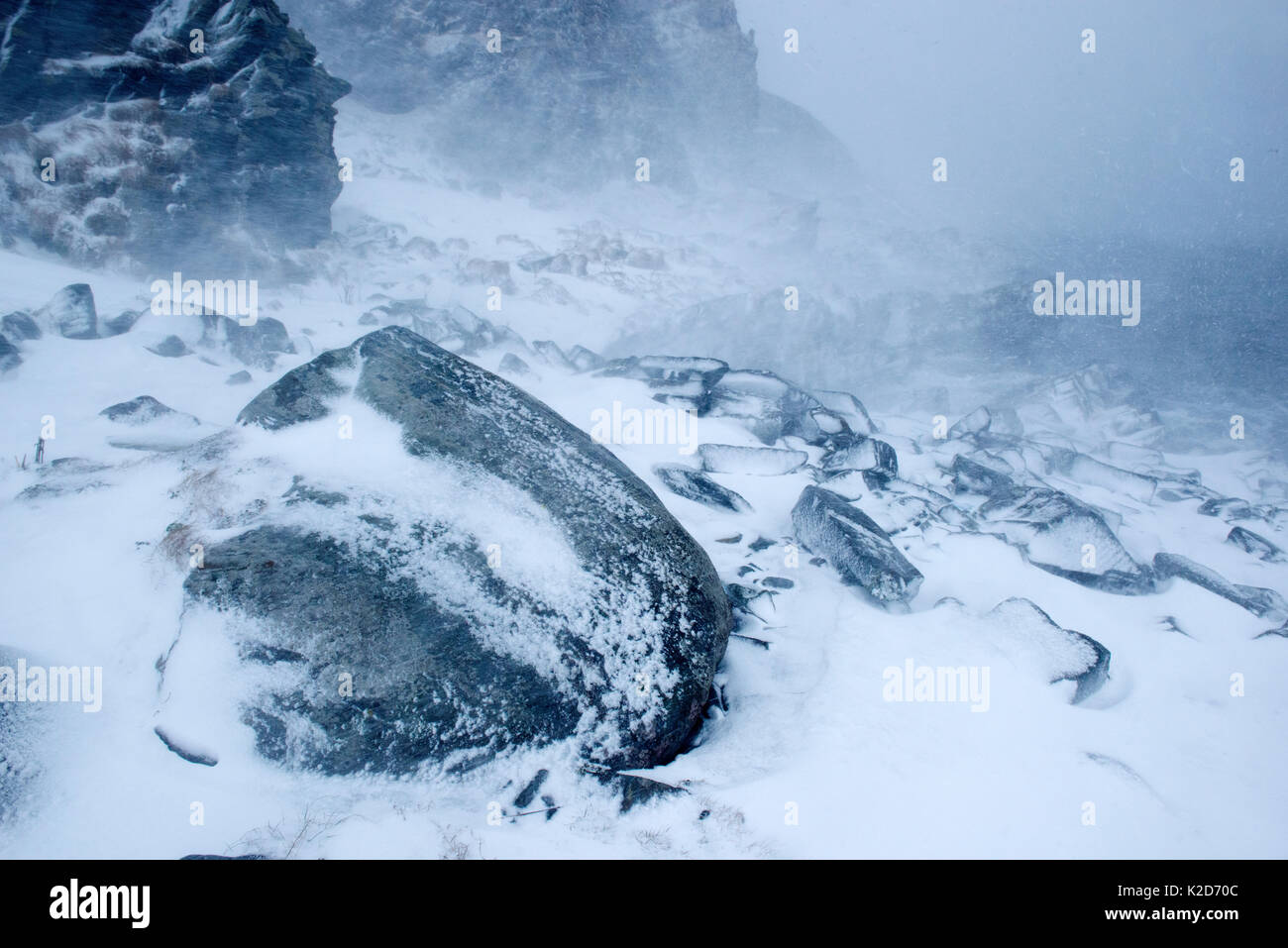 Coastal landscape in snow blizzard, Hornøya, Finnmark, Norway March 2014 Stock Photo