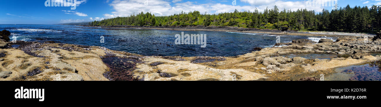 Coastal landscape at Botanical Beach in the Juan de Fuca Provincial Park near Port Renfrew on Vancouver Island, British Columbia, Canada. Stock Photo