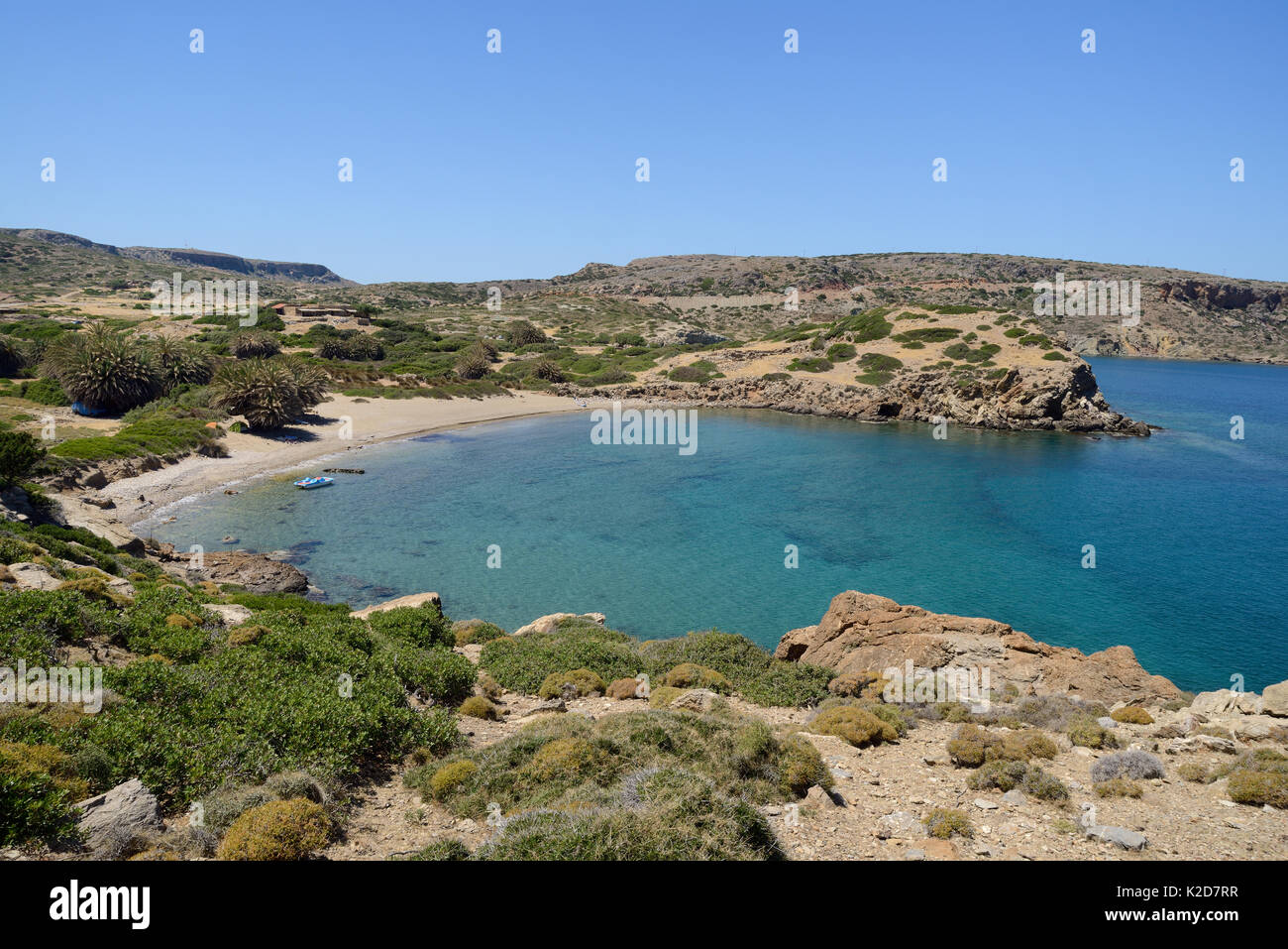 Phrygana / garrigue scrub vegetation on arid headland, and Cretan date palms (Phoenix theophrasti) growing behind a beach, Itanos, Lasithi, Crete, Greece, May 2013. Stock Photo