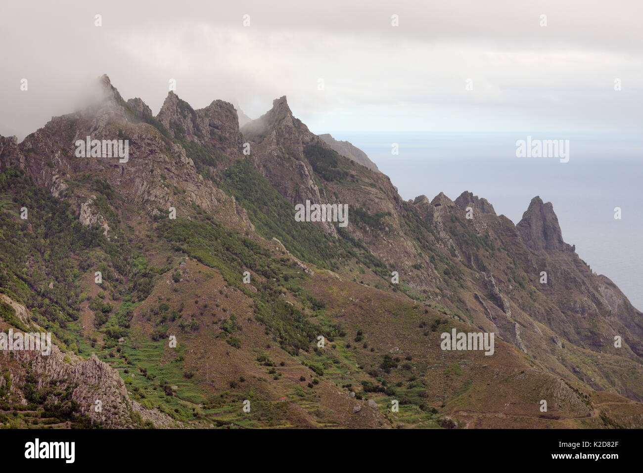 Extinct volcanoes in the cloud-shrouded Anaga mountains flanked by subtropical Laurel forests above Taganana village, Anaga Rural Park,Tenerife, May. Stock Photo