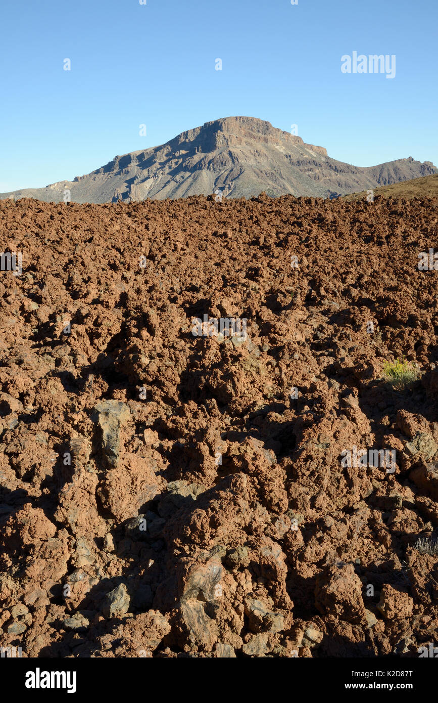 Volcanic lava flows in the spiky, uneven 'aa or malpais' form in the Las Canadas caldera, Teide National Park, Tenerife, Canary Islands, May. Stock Photo