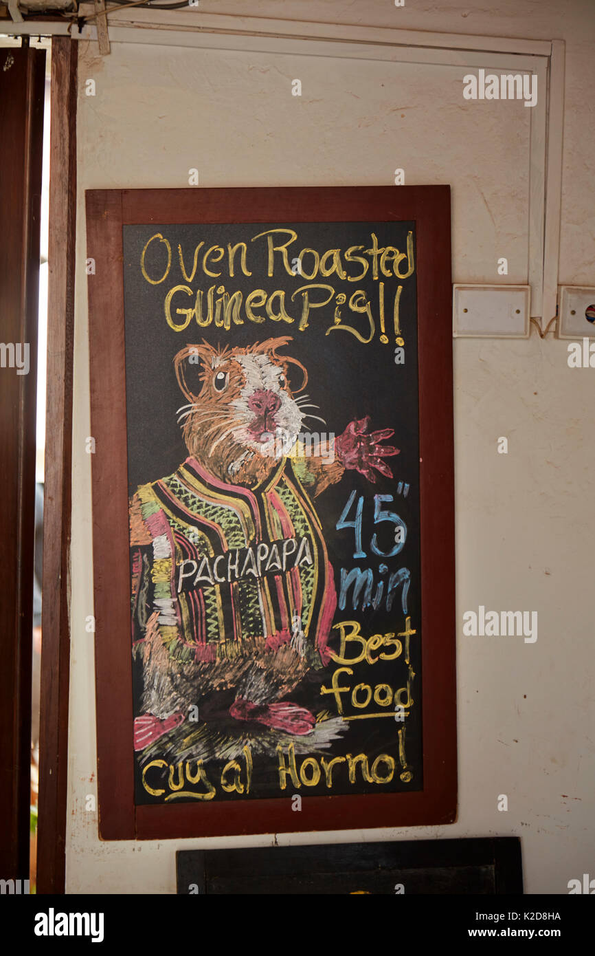 Sign at restaurant selling Cuy (roasted Guinea Pig) San Blas, Cusco, Peru, South America Stock Photo