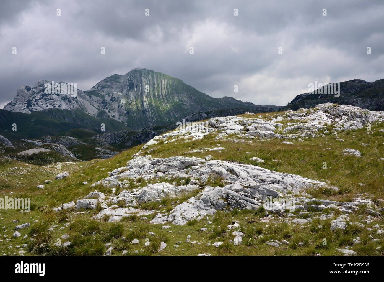 Limestone rocks and vertically folded limestone layers of Prutas mountain, Durmitor National Park, Montenegro, July 2014. Stock Photo
