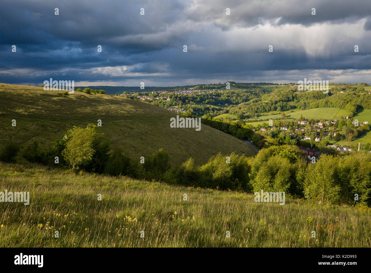 View toward Stroud from unimproved grassland on Minchinhampton Common, Gloucestershire, UK. May 2015. Stock Photo