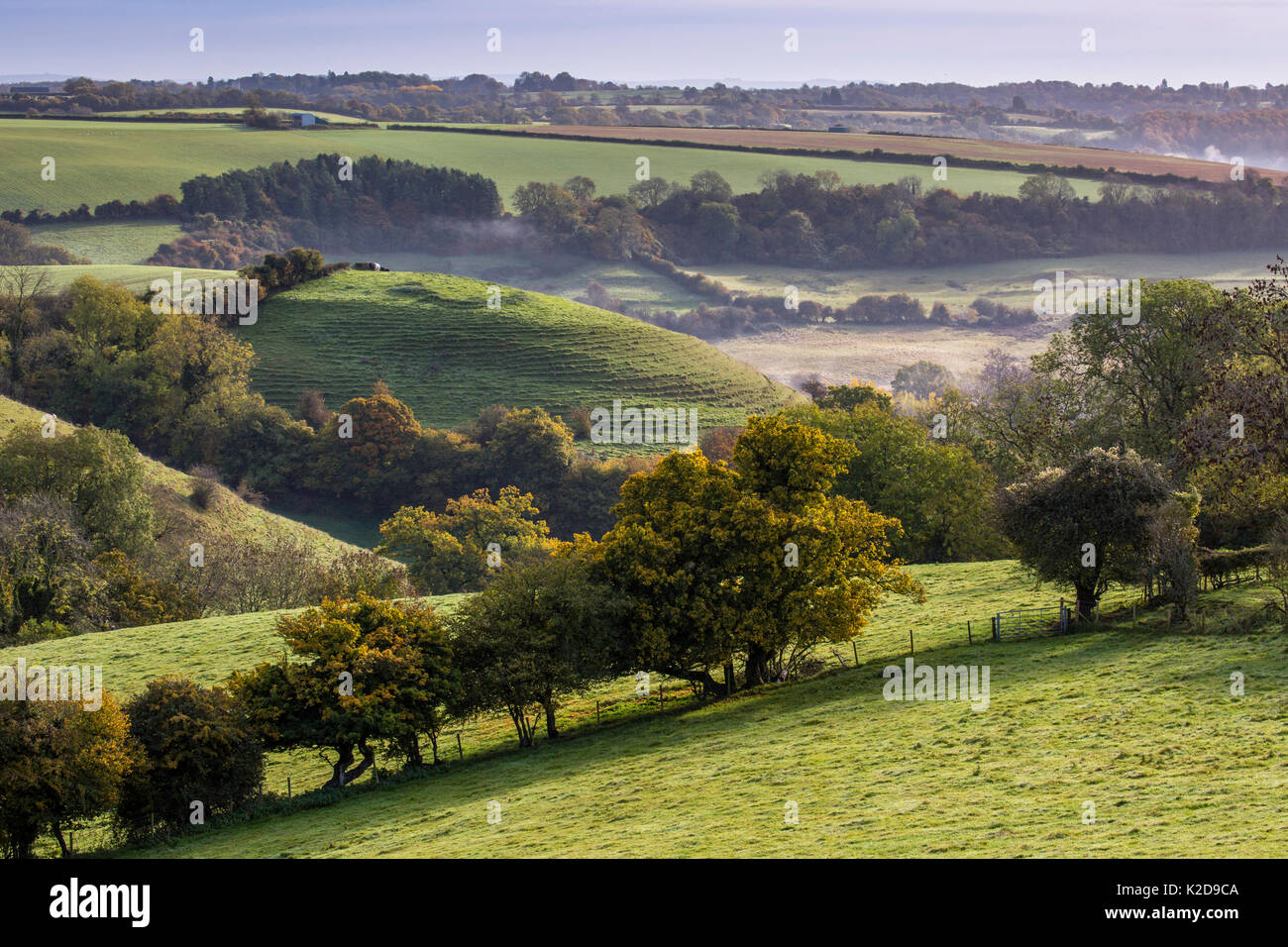 Autumn view towards St.Catherines Valley from Cold Ashton, Gloucestershire. St. Catherine's Valley is a biological Site of Special Scientific Interest. October 2015. Stock Photo