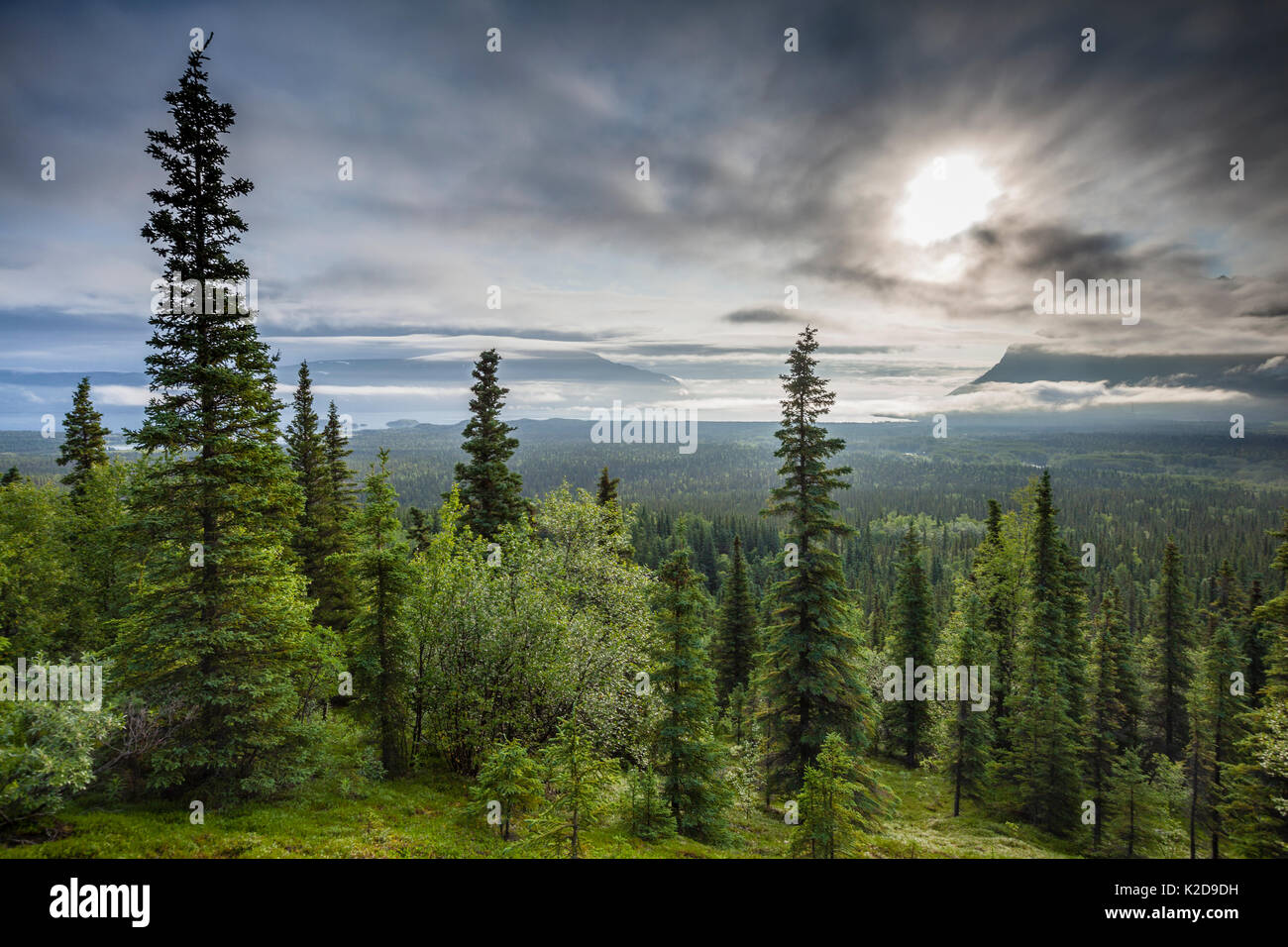 Katmai National Park, Alaska, USA. July 2012. Stock Photo