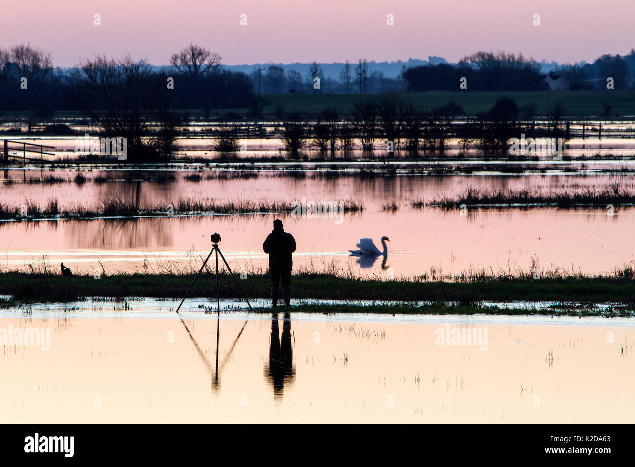 Photographer at dawn waiting for perfect shot among flooded fields near Burrowbridge, Somerset Levels, Somerset, UK, February. Stock Photo