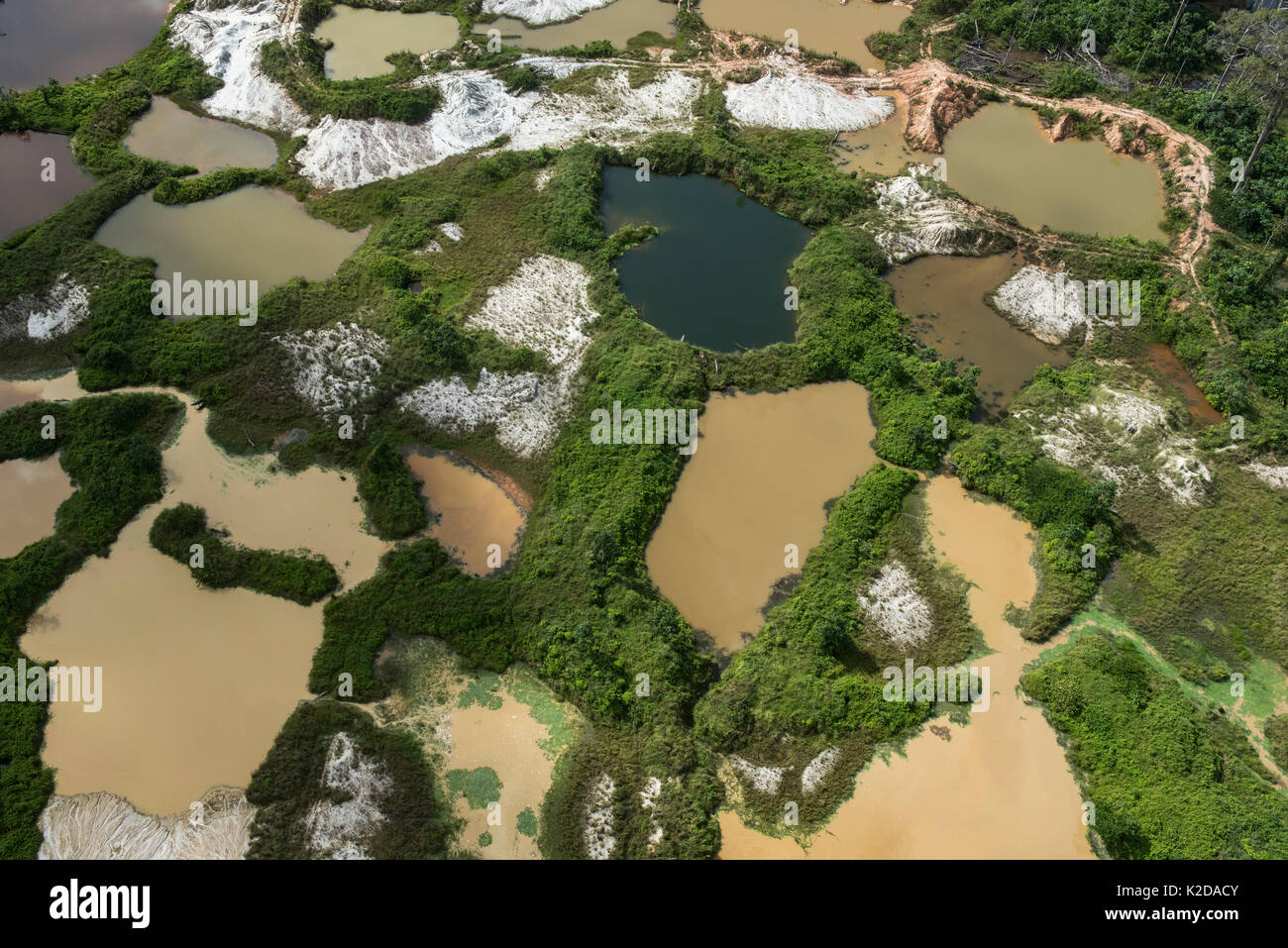 aerial-view-of-illegal-gold-mining-in-arimu-guyana-south-america-K2DACY.jpg