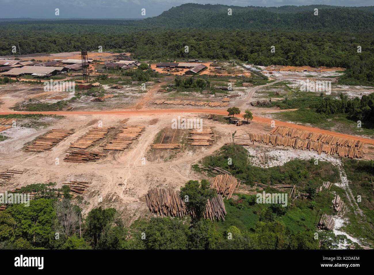 Aerial view of Logging camp in the middle of rainforest, Rupununi, Guyana, South America Stock Photo