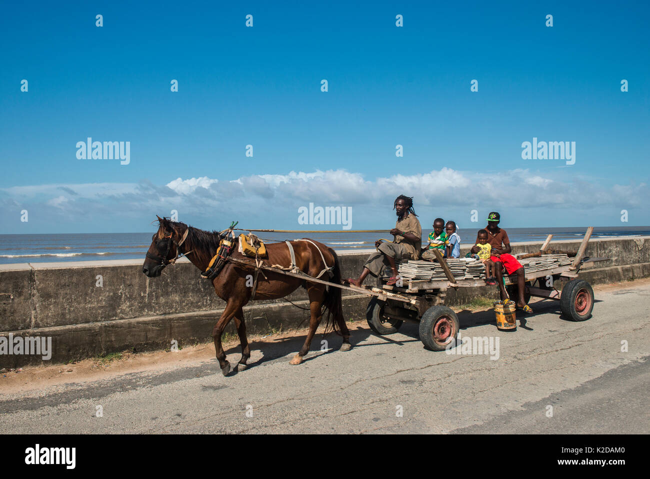 Horse drawn cart along sea wall, Guyana, South America
