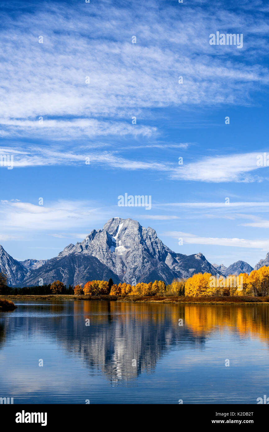 Aspen trees with Mount Moran from Ox Bow Bend on Snake River, Grand Teton National Park, Wyoming, USA. September 2015. Stock Photo