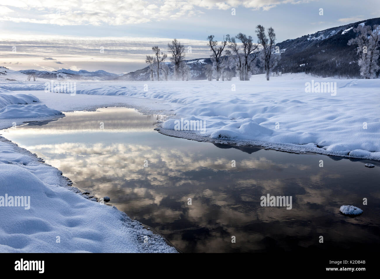 Winter sunrise with reflection on Lamar River, Lamar Valley, Yellowstone National Park, Wyoming, USA. February 2016. Stock Photo