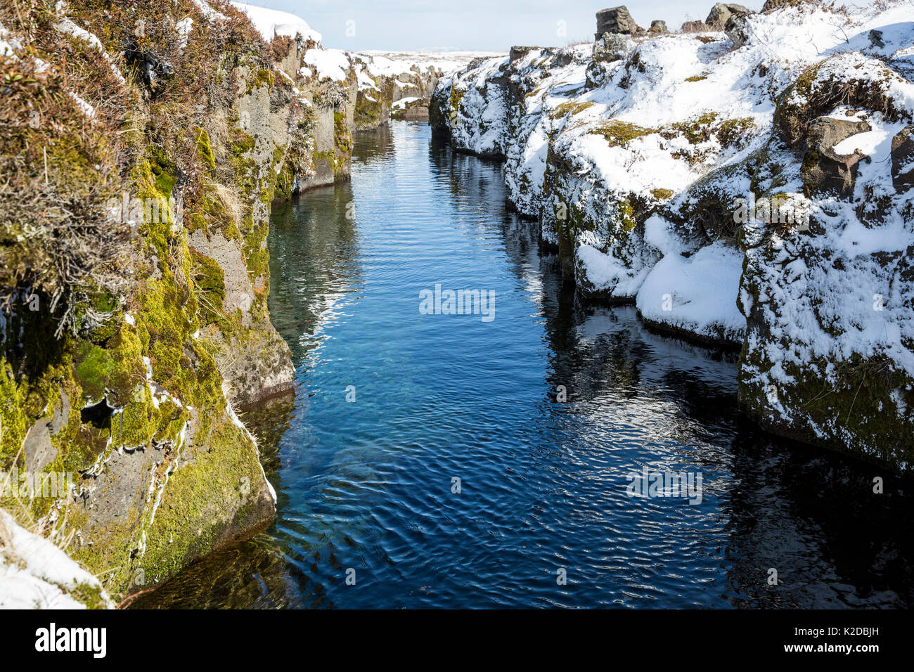 The volcanic crack Nesgja, in the Asbyrgi National Park, northern Iceland Stock Photo