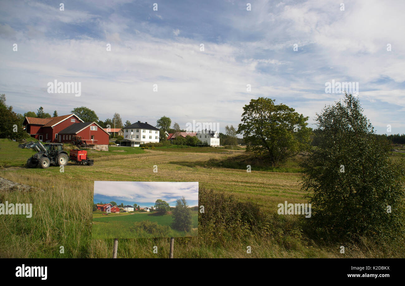 Changing seasons, summer image / photograph dispalyed in autumn landscape,  'The passage of time' by Artist Pal Hermansen. Valer, Ostfold County, Norway. July 2014. Stock Photo