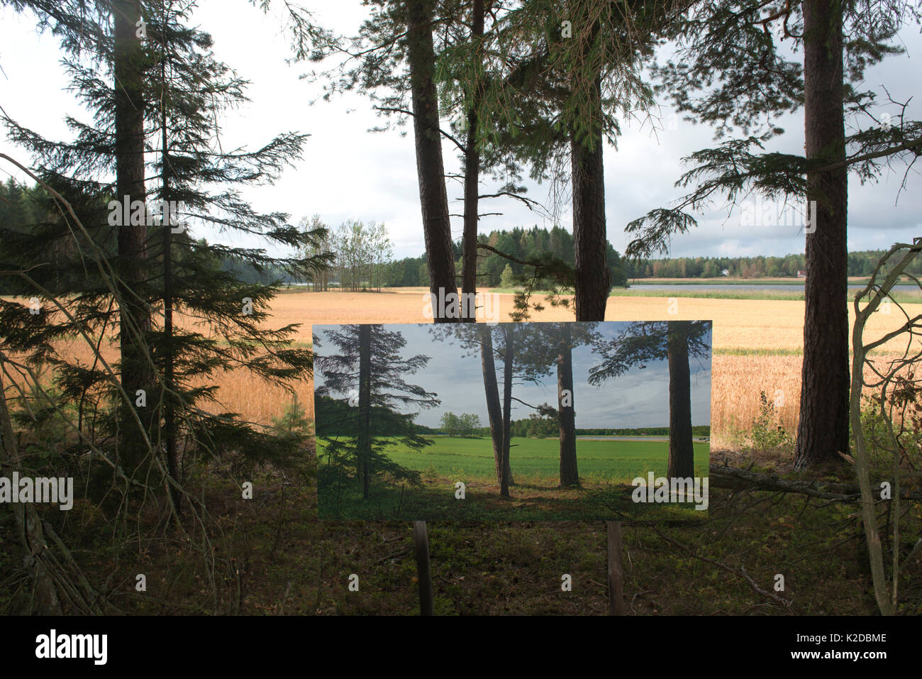 Changing seasons, summer image / photograph displayed in autumn landscape, 'The passage of time' by artist Pal Hermansen. Valer, Ostfold County, Norway. July 2014. Stock Photo