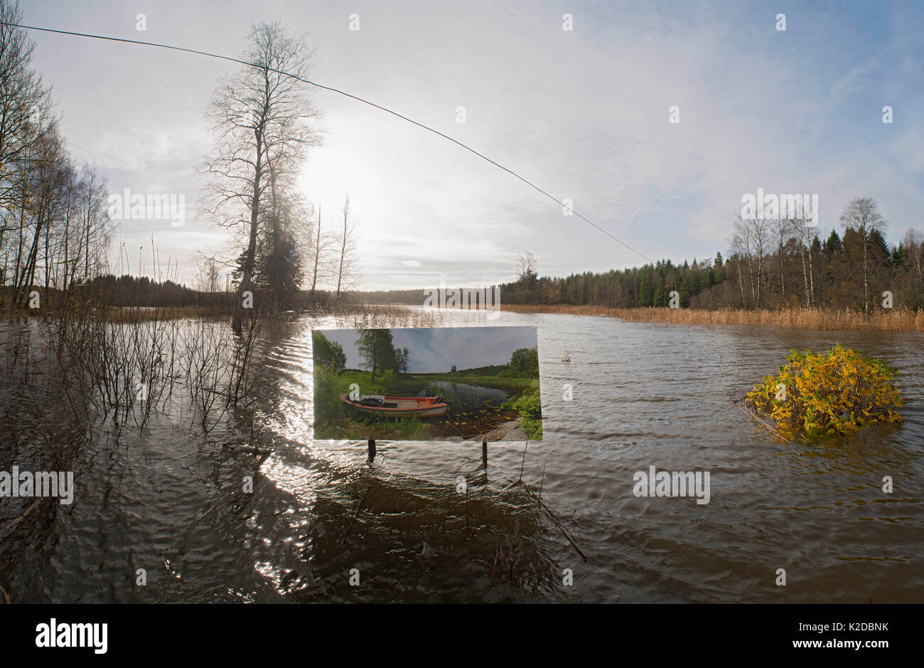 Changing seasons, a summer photograph displayed in landscape flooded in autumn, 'The passage of time' by artist Pal Hermansen. Valer, Ostfold County, Norway. October 2015. Stock Photo