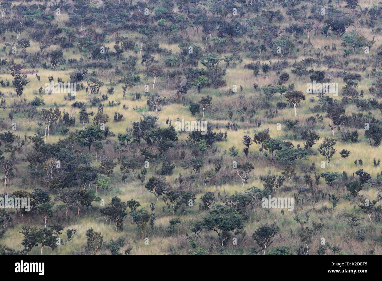Aerial view of patchwork of savannah and gallery forest, Bateke Plateau NP, Gabon. Stock Photo