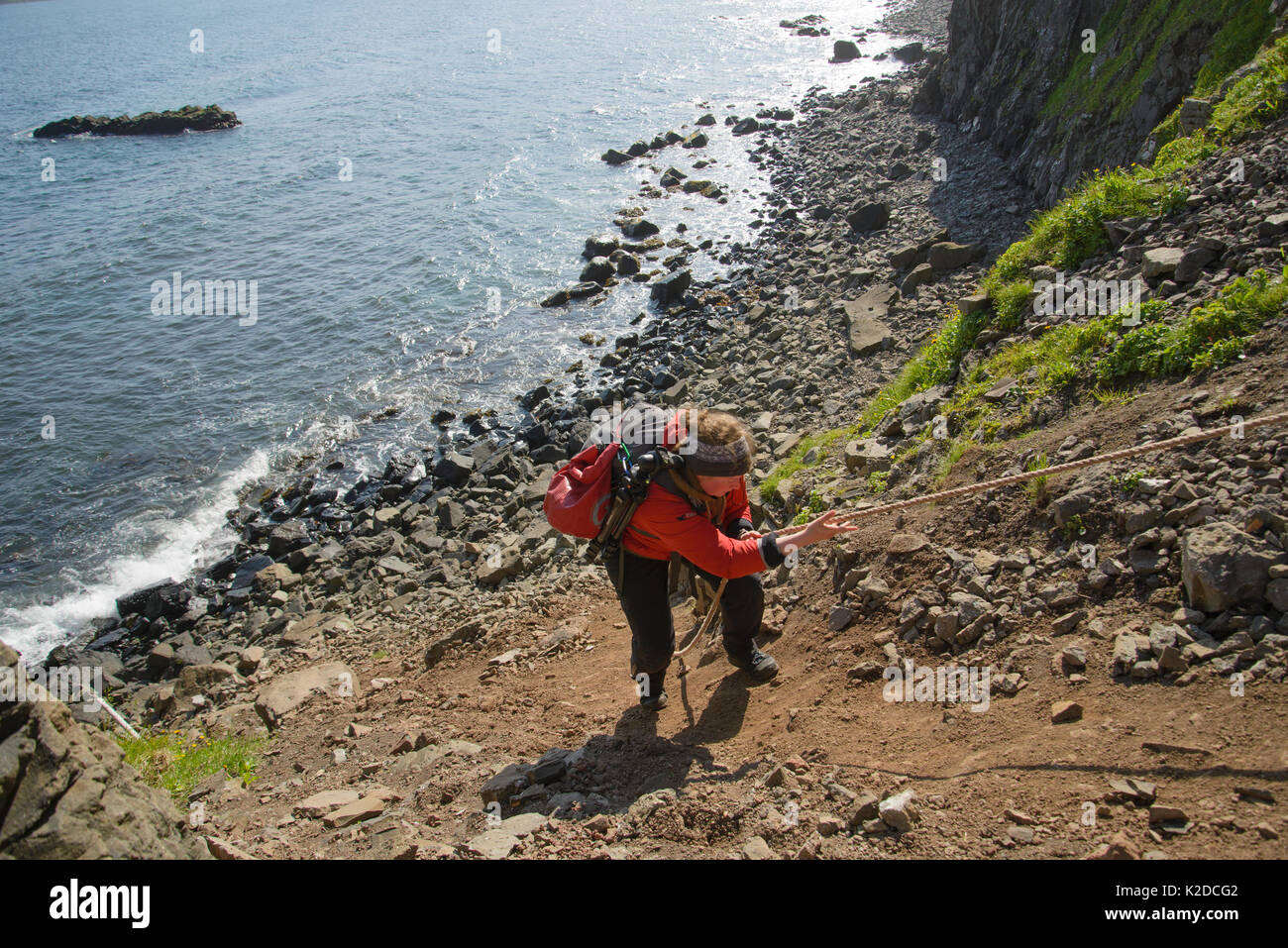 Photographer Megan Whittaker hiking a rough trail, Hornvik, Hornstrandir, Iceland. July 2015. Model released Stock Photo