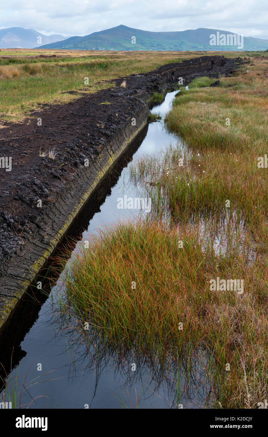 Peat extraction, Iveragh Peninsula, County Kerry, Ireland, Europe. September 2015. Stock Photo