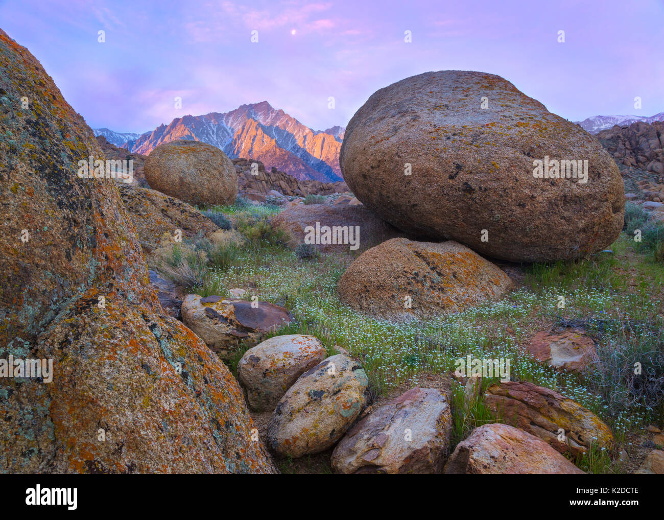 Huge granite boulders in spring landscape with Lone Pine Peak, illuminated by the rising sun. Alabama Hills near Lone Pine, California, USA, March. Stock Photo