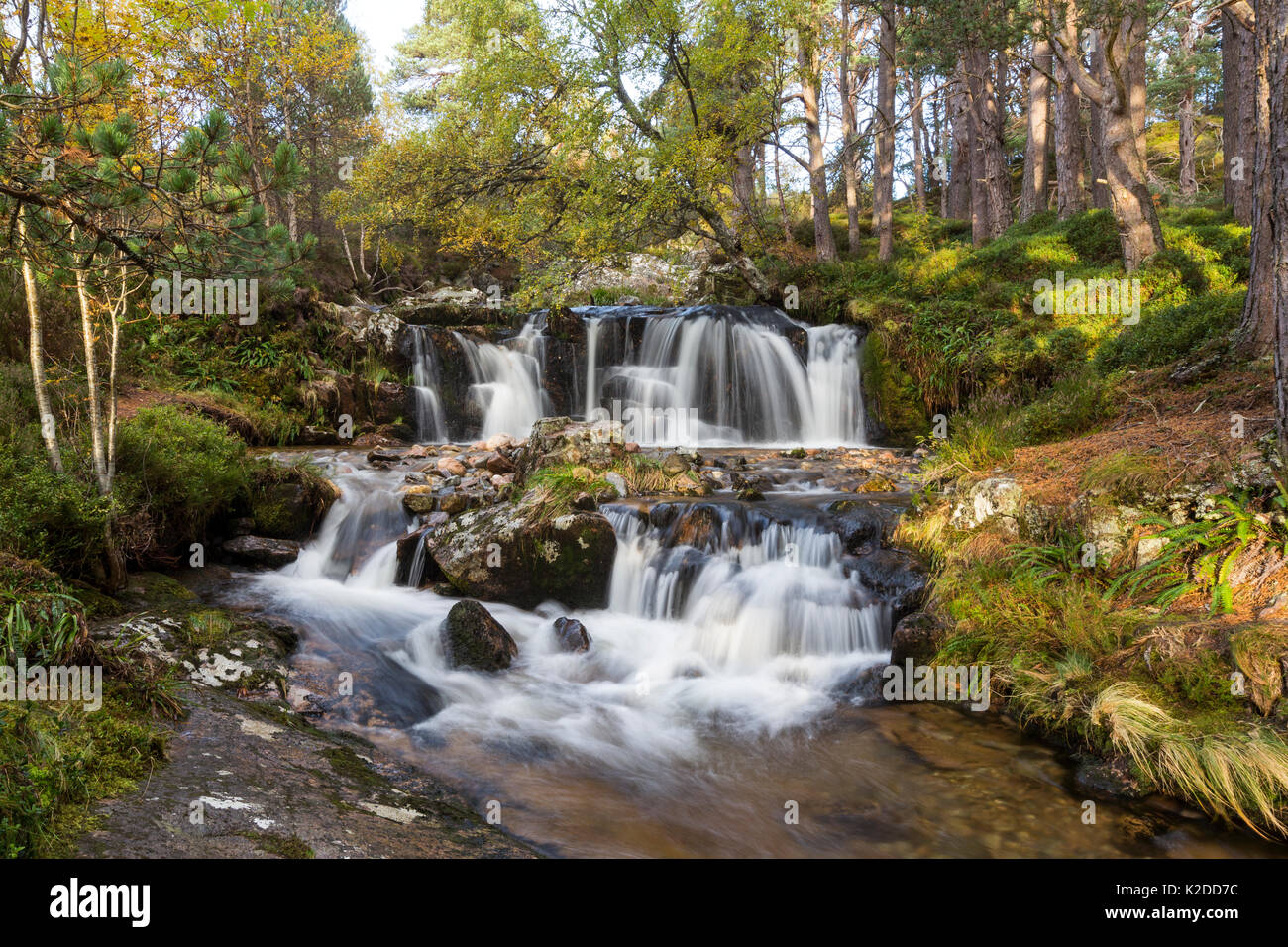 Alt ruadh river flowing through woodland hi-res stock photography and ...