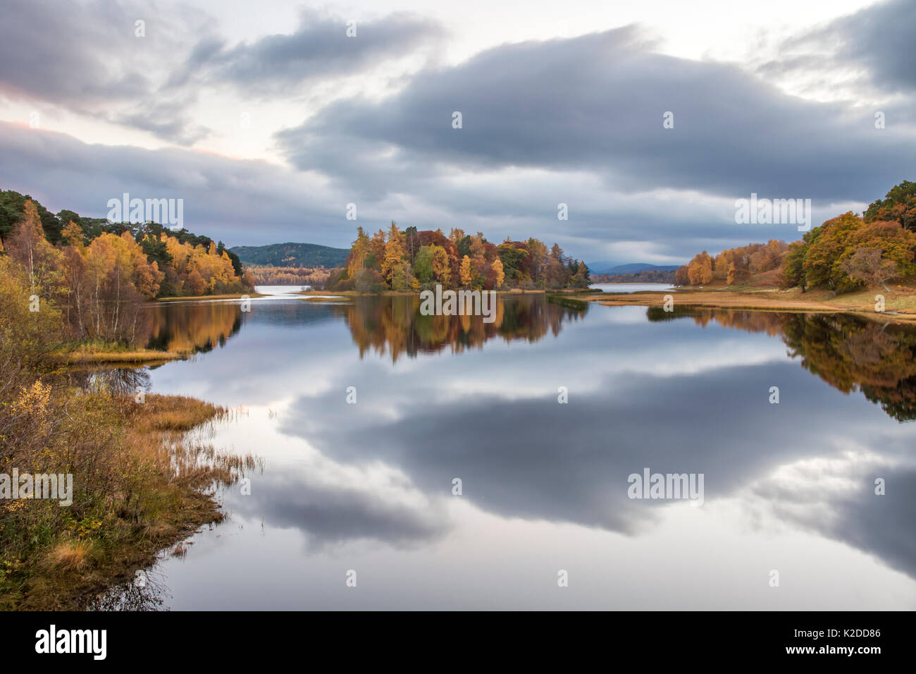 Autumn colours and stormy clouds reflected in the calm waters of Loch Insh, Cairngorms National Park, Scotland, UK, November 2015. Stock Photo