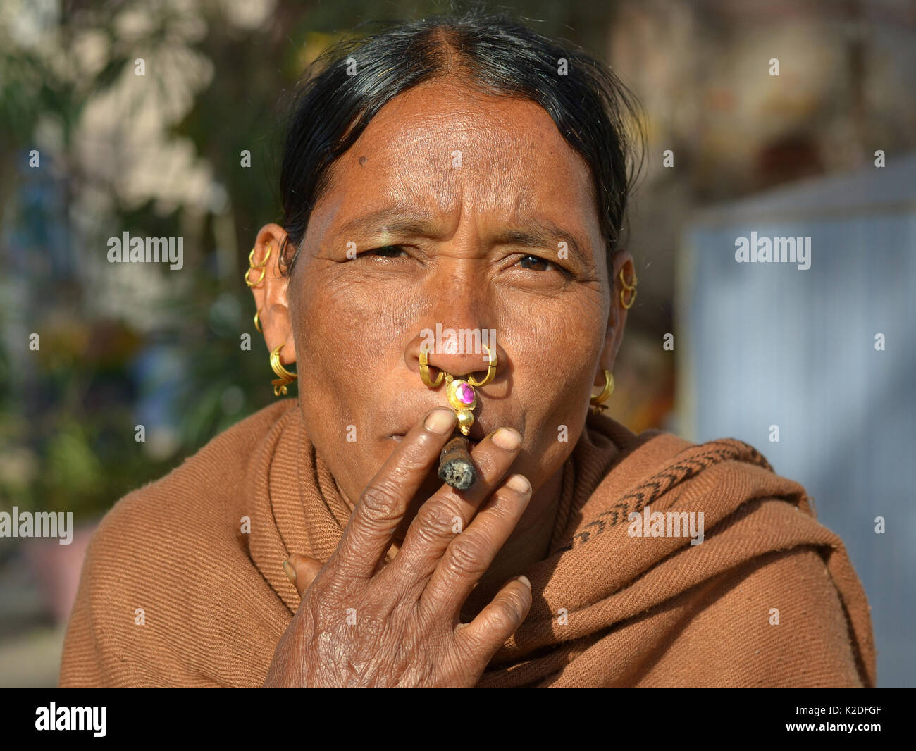 Elderly Indian Adivasi woman (Desia Kondh tribe, Kuvi Kondh tribe) with gold-and-gemstone nose jewellery and tribal earrings smokes a home-made cigar. Stock Photo