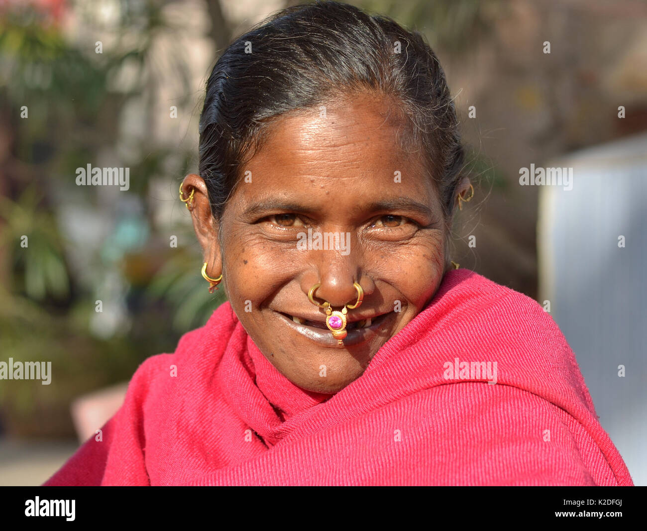 Elderly Indian Adivasi woman (Desia Kondh tribe aka Kuvi Kondh) with gold-and-gemstone nose jewellery and tribal earrings Stock Photo