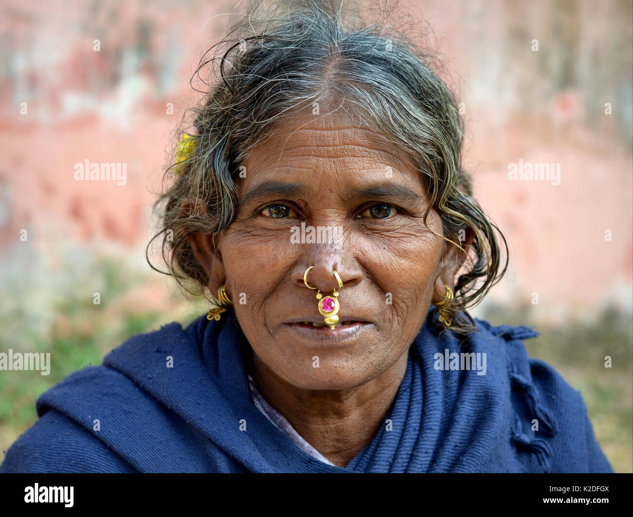 Elderly Indian Adivasi woman (Desia Kondh tribe, Kuvi Kondh tribe) with tribal nose jewellery and golden tribal earrings poses for the camera. Stock Photo