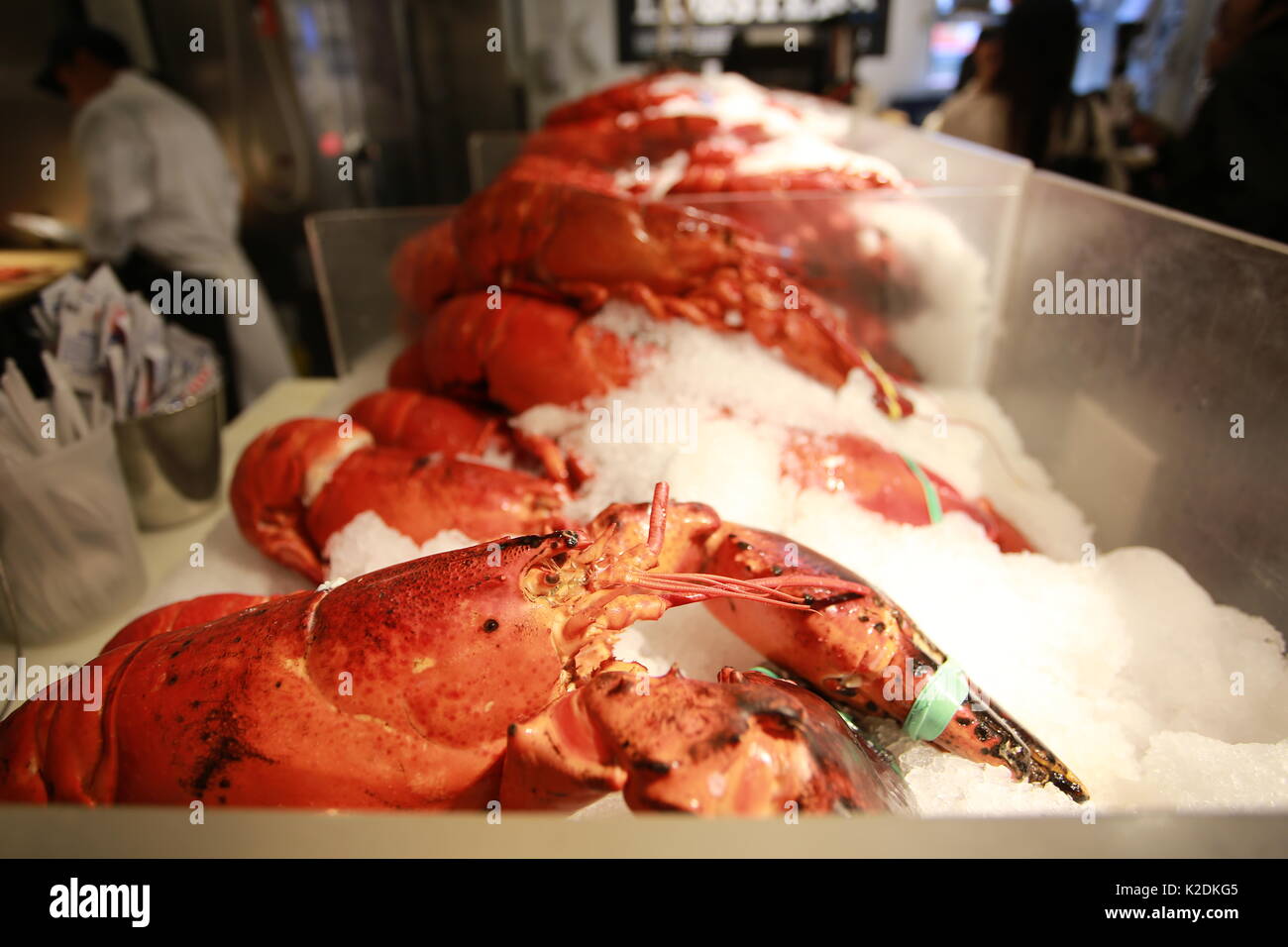 Big red lobster hires stock photography and images Alamy